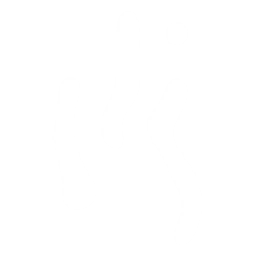 28px
