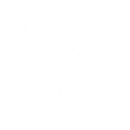 28px