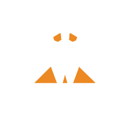 25px