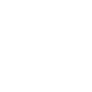 Accessibility Icon