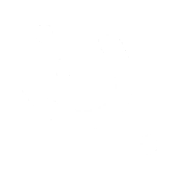 25px