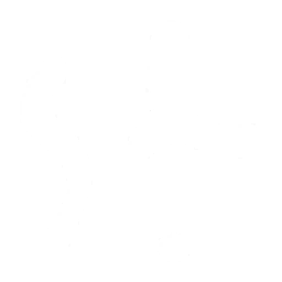 28px