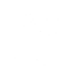 25px