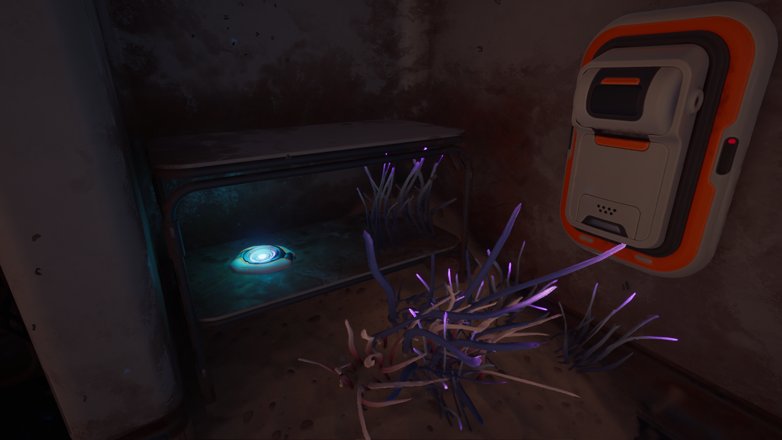 300px