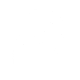 28px