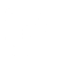 25px
