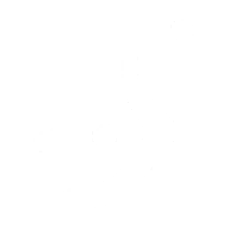 25px