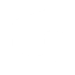 25px