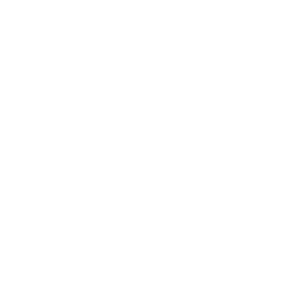 28px