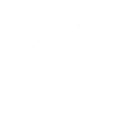 28px