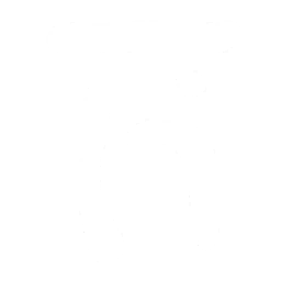 28px