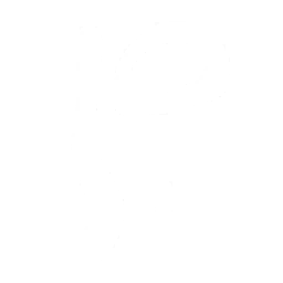 28px